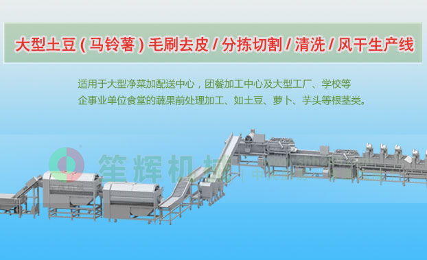 略阳连续式土豆去皮清洗切割风干生产线